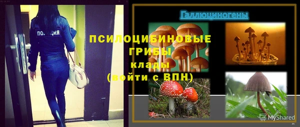 дмт Алапаевск