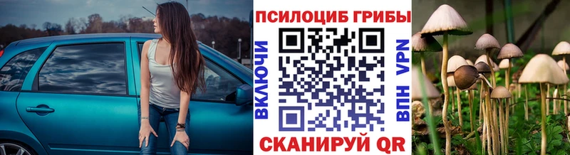 Псилоцибиновые грибы Cubensis Белорецк