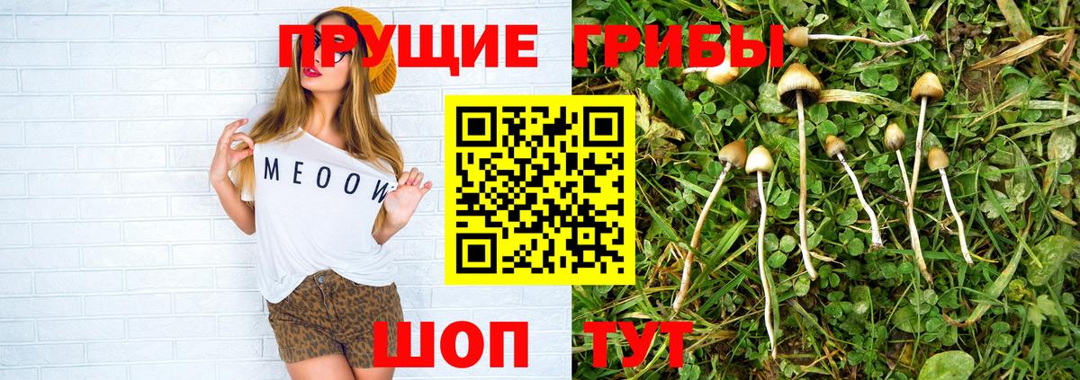 Псилоцибиновые грибы Magic Shrooms  Вход с VPN  Белорецк 