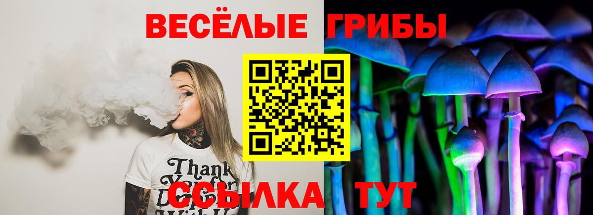 Псилоцибиновые грибы прущие грибы  Белорецк  Псилоцибиновые грибы ЛСД 